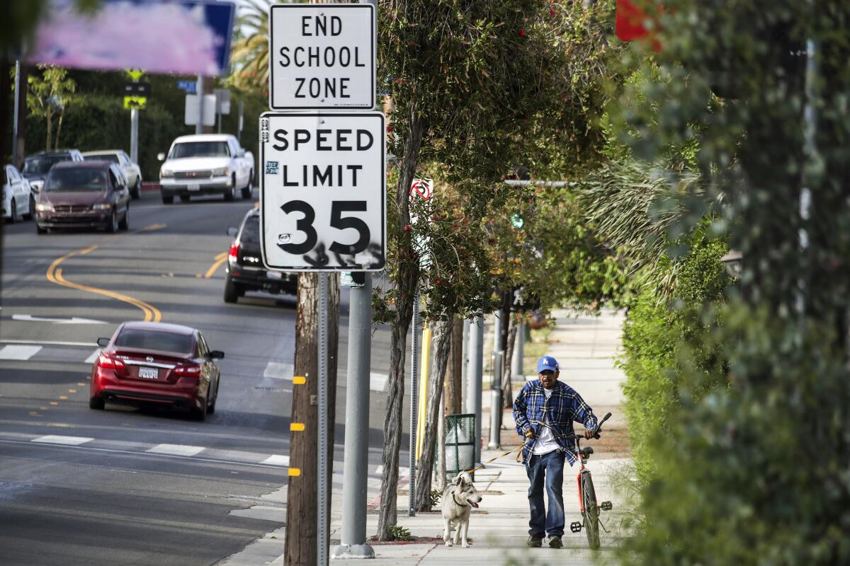 Trees along Pasadena Avenue in Lincoln Heights on April 20, 2022