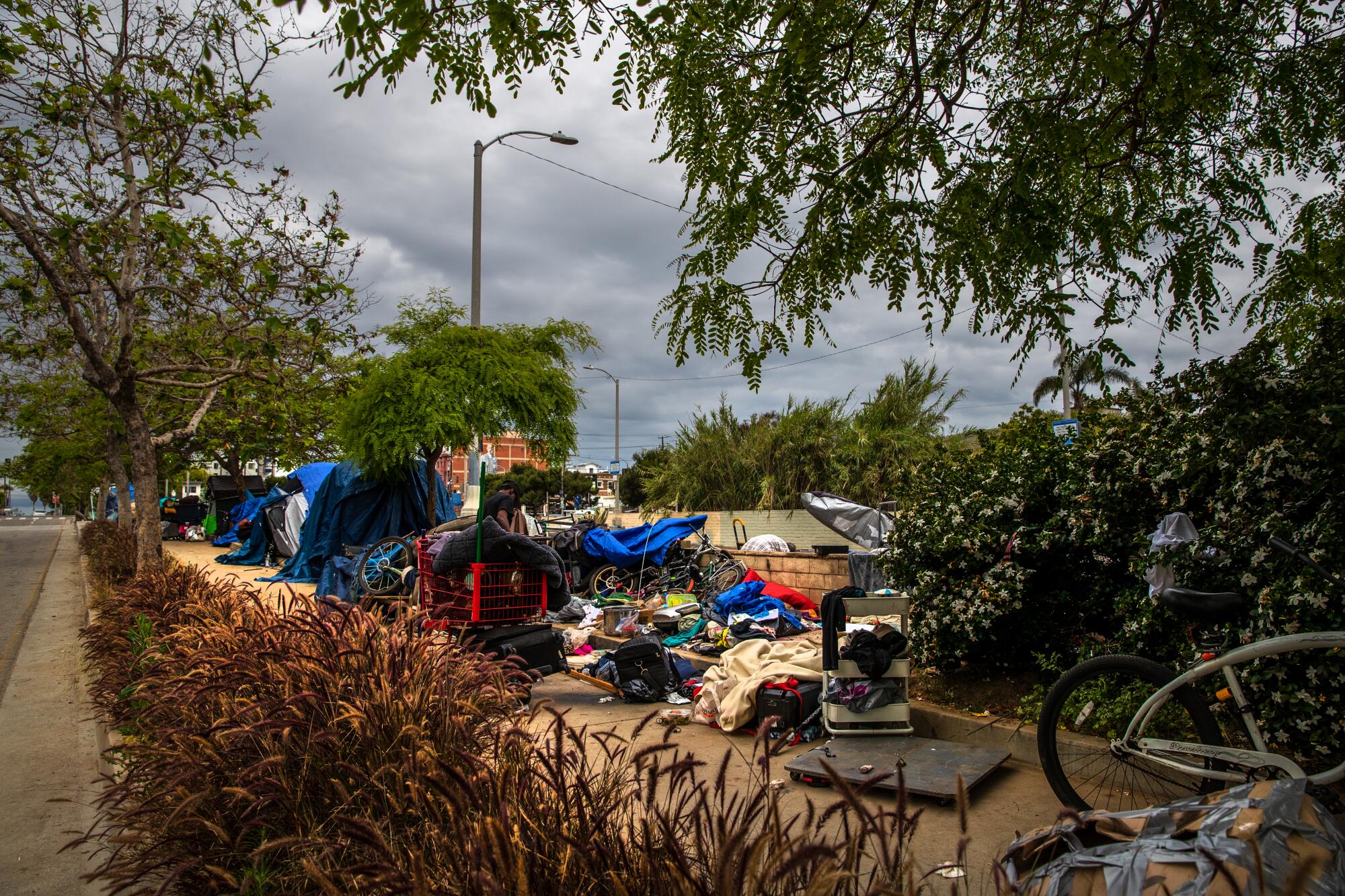 A homeless encampment surrounded by trees on a cloudy day