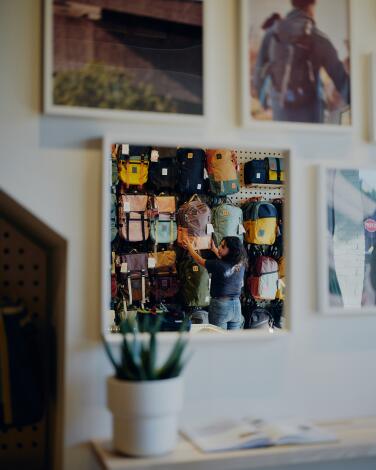 A potted pant on a shelf under wall displays in a store