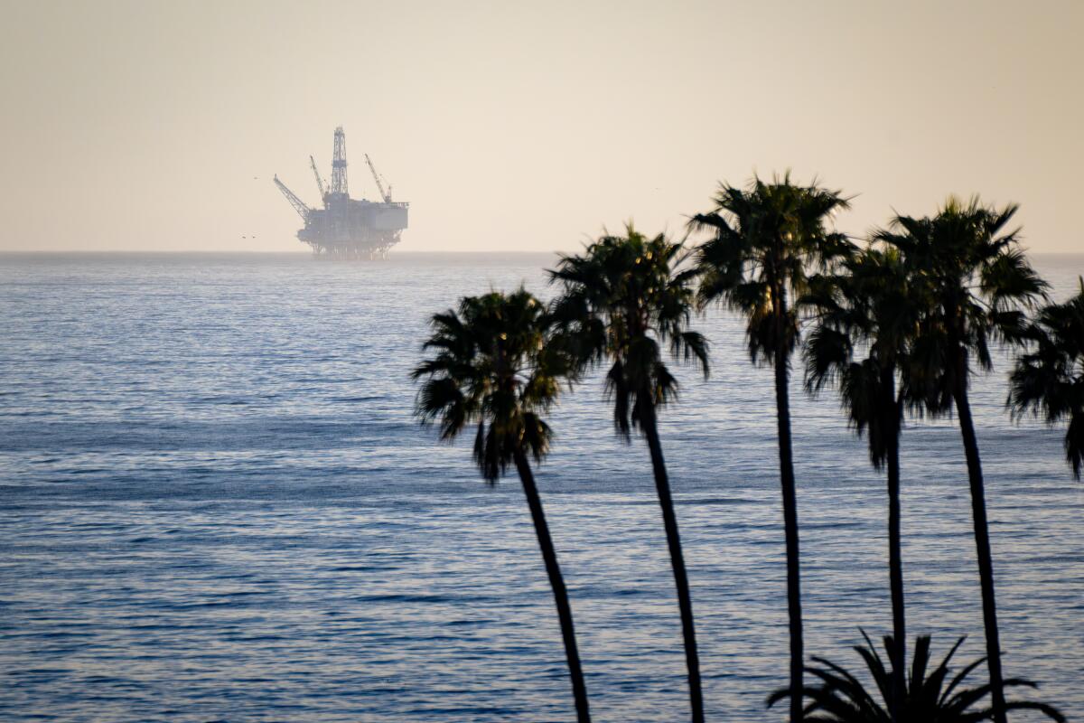 An oil platform on the horizon behind palm trees.