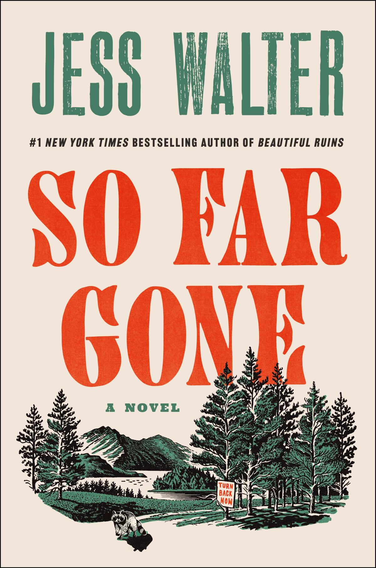 SO FAR GONE by Jess Walter
