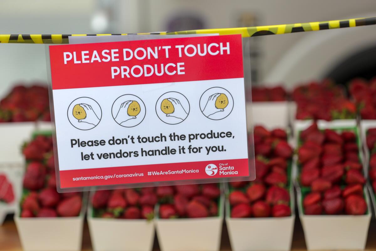 A posted sign forbids people from touching strawberries at Santa Monica farmers market.