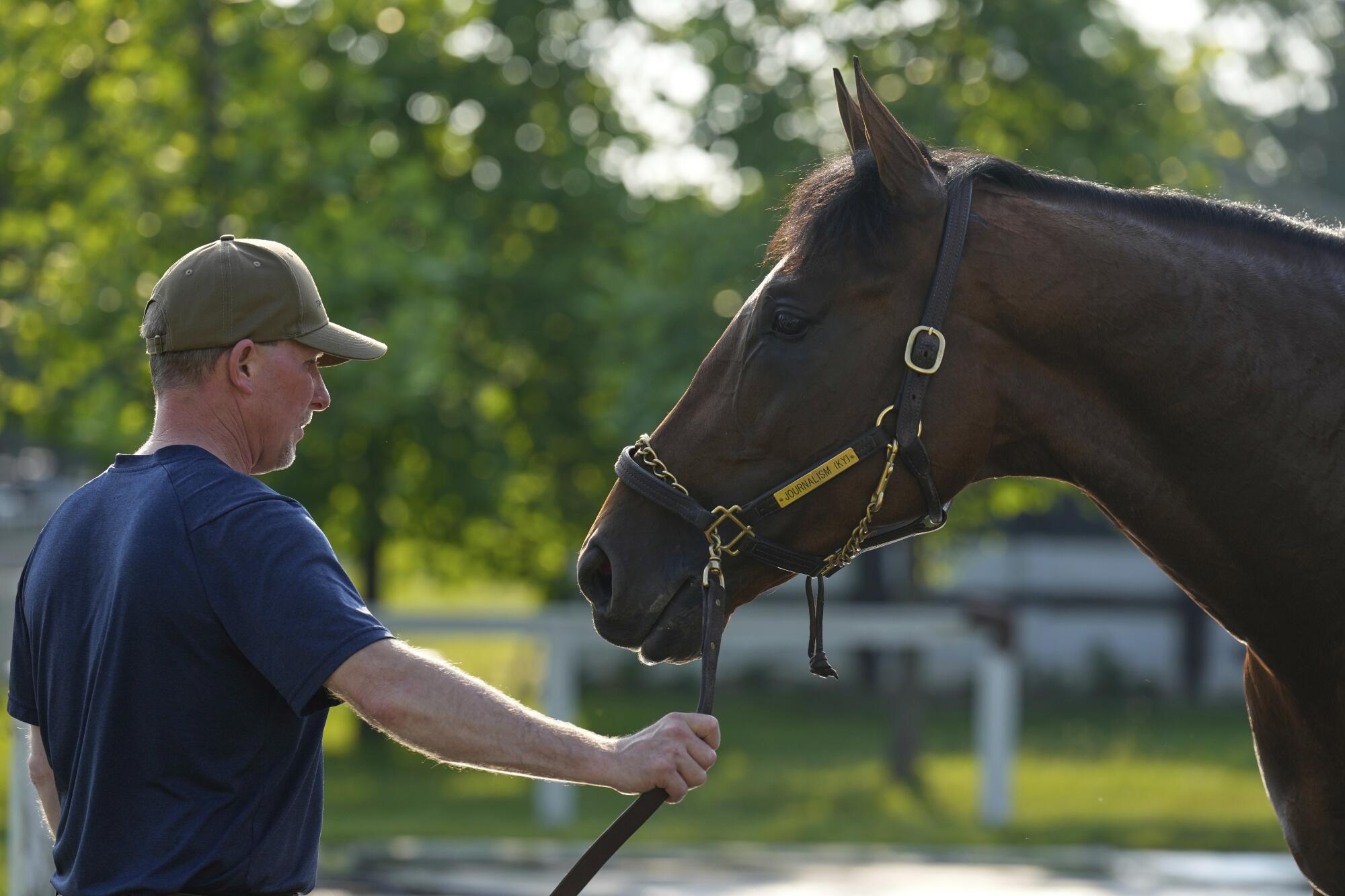 Journalism is prepared for a bath after training at the Saratoga Race Course on Thursday.