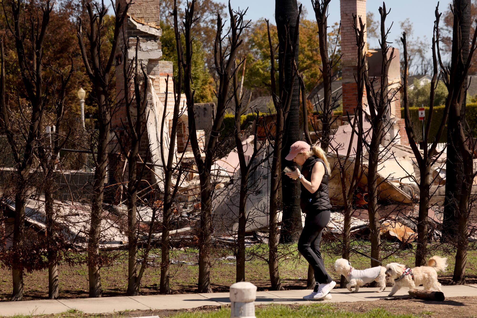 Amanda Welles walks with her dogs PupPup and Pumpkin past a structured destroyed in the Palisades fire.